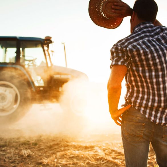 Landwirtschaft Midland